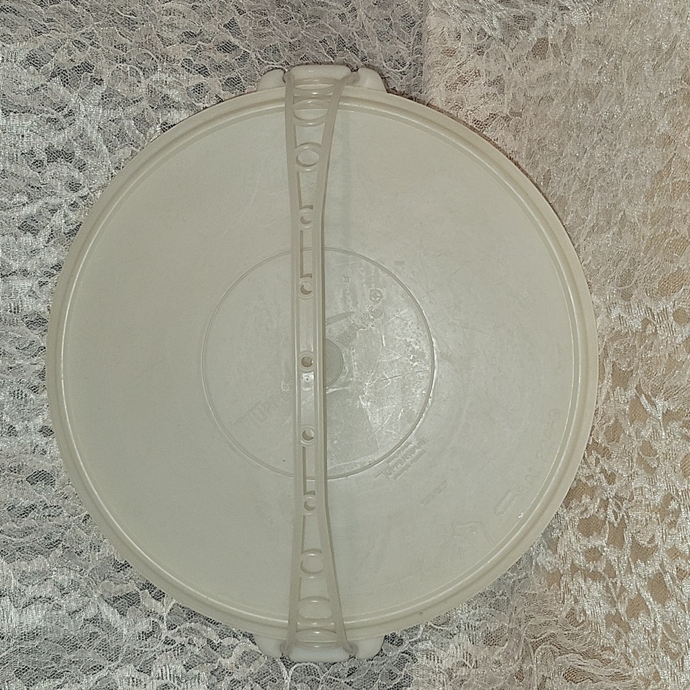 Tupperware: 3 Pieces, Vegetable Carrier, Divided Tray With Lid And Carry Strap